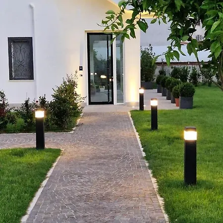 Elios Badino Terracina